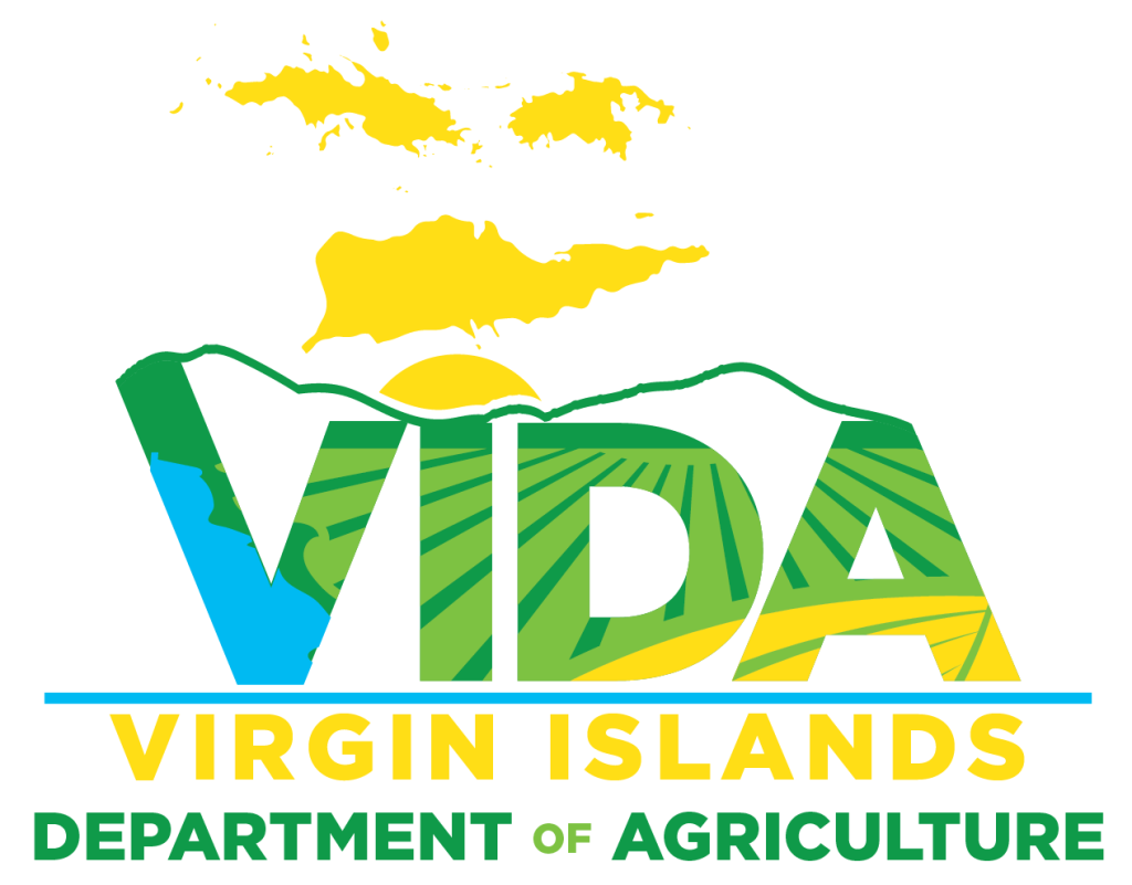 VIDA logo